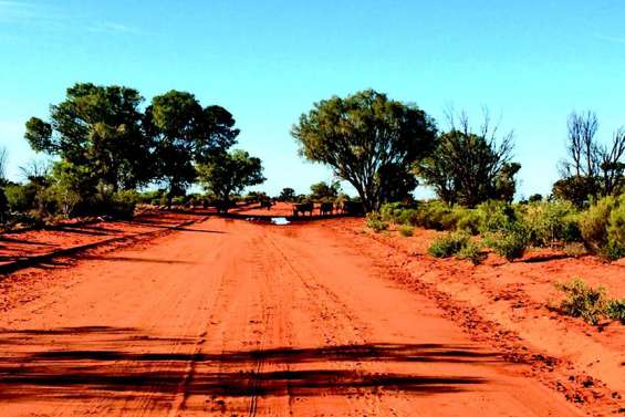 Google Maps, pas assez fiable pour l’Etat du Queensland