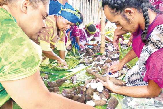 Goro ouvre la saison de l’igname nouvelle, aujourd’hui