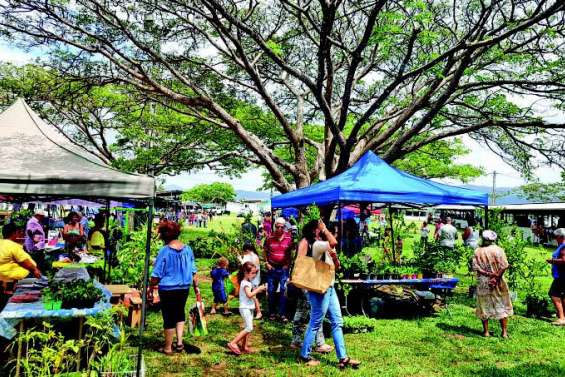 L’esprit de Noël a gagné l’hippodrome