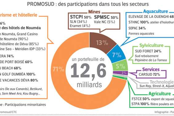 Les investissements  de Promosud à l’épreuve