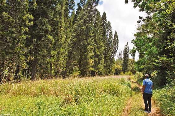 Un jardin botanique en bonne voie et un « agropôle » route de la Ziza en 2022