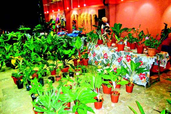 Les Floralies ont pris racine au centre socioculturel