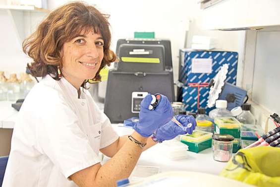 « A ce jour, les gestes barrières sont centraux dans la lutte contre la Covid-19 »