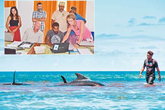 « Un tiers de nos mammifères marins sont connus grâce aux échouages »