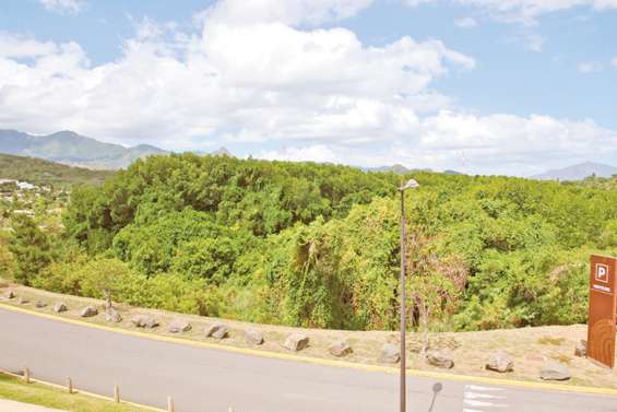 Des engins de chantier au secours de la mangrove