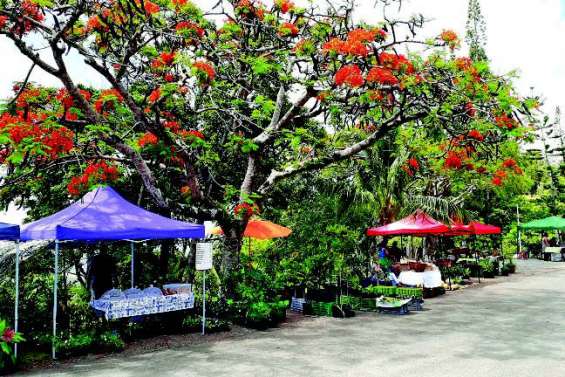 Premier marché de l’année dimanche