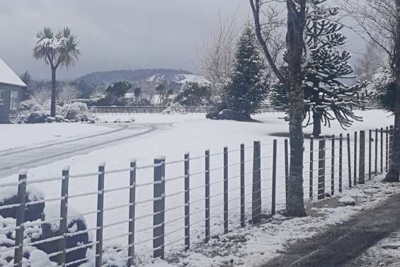 Gros coup de froid en Nouvelle-Zélande