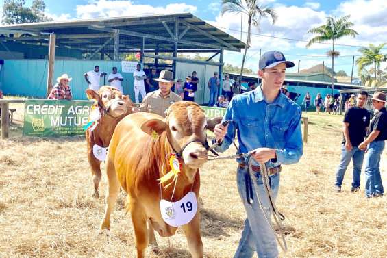 [GROS PLAN] La filière agricole reprend des couleurs