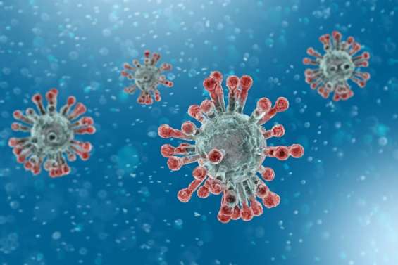 Mieux comprendre les Covid longs