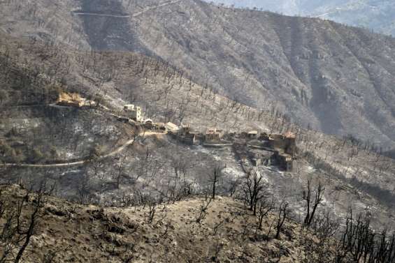 Face aux feux, la diaspora envoie de l'aide