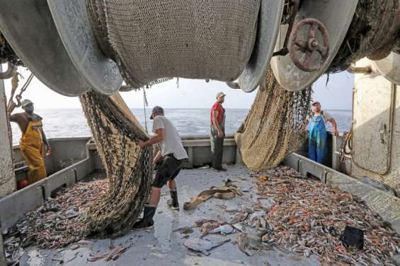 Pêche : « Moins de jours en mer, c'est la fin de notre métier »