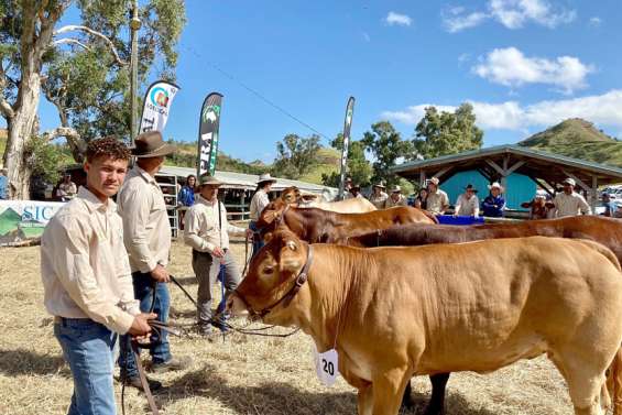 [VIDÉO] Que représente la foire de Bourail pour vous ?