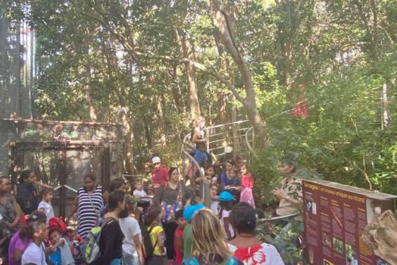 Une journée en famille au parc forestier