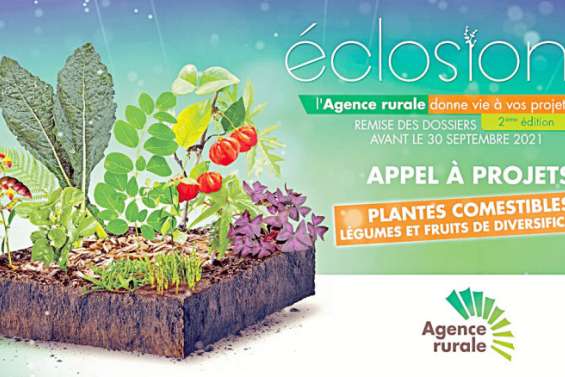Un appel à projets pour « diversifier » l'offre agricole
