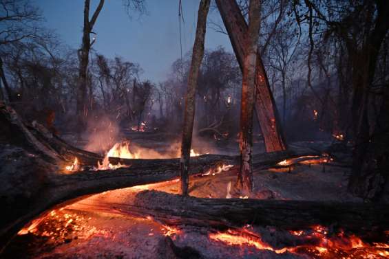 Des milliers d'hectares qui partent en fumée
