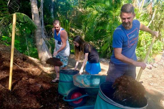 Broyat gratuit chaque dernier mercredi du mois à la pépinière