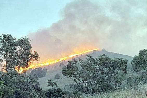 Environnement : les forêts brûlent déjà en Brousse