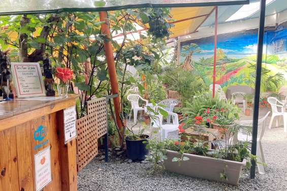 À Robinson, la difficile entente entre bar à kava et riverains