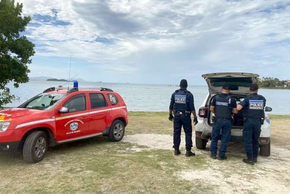 [VIDÉO] Un requin-tigre dans un filet à Magenta