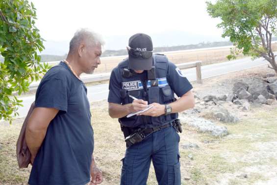 [VIDÉO] Il pêche un requin-tigre à Magenta-plage
