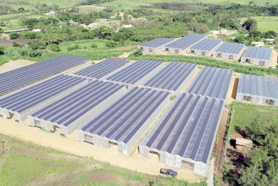 Mont-Dore : un projet de vanilleraie cultivée sous des serres photovoltaïques à Saint-Louis