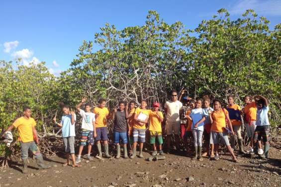 Les élèves de cinquième de Canala et de Kouaoua en sortie dans la mangrove