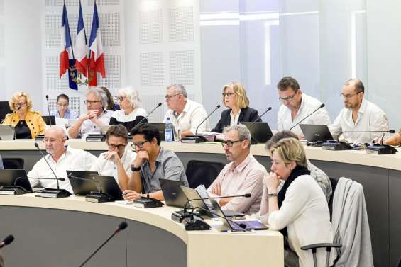 Conseil municipal : des dispositifs anti-requins testés à Nouméa en 2022