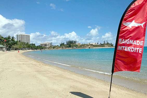 Alerte au requin à la baie des Citrons, la plage évacuée