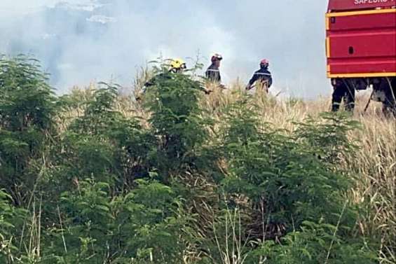 Feu de brousse sans conséquences aux abords de l’aérodrome de Magenta