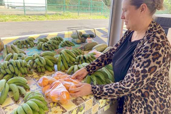 Païta : des débuts compliqués pour le nouveau marché municipal