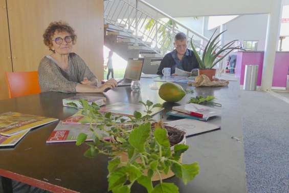 Les plantes médicinales mises en avant à Terre de troc