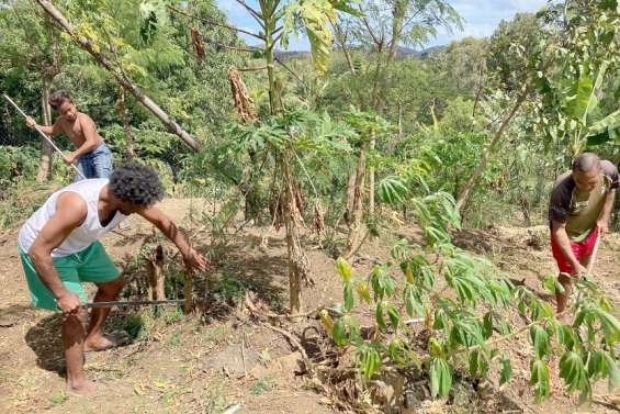 Dans les squats de Dumbéa, 