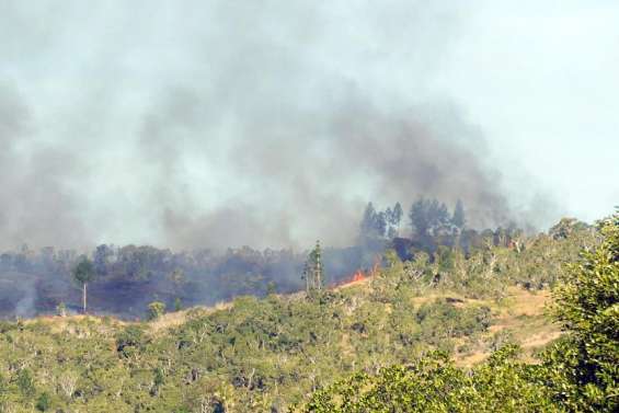 Face à la multiplication des feux de forêt, la Sécurité civile appelle au civisme