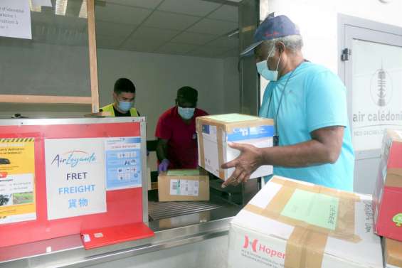 Un vol d’Air Loyauté pour ravitailler Tiga en nourriture et en matériel médical