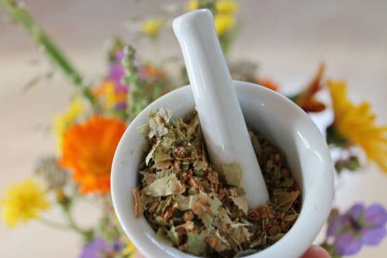 Des purges et infusions contre le cancer : un naturopathe calédonien risque gros