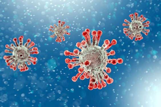Origine de la Covid : une avancée majeure