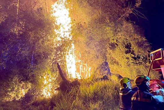 Incendies à répétition à Bourail, les pompiers en ont ras le bol