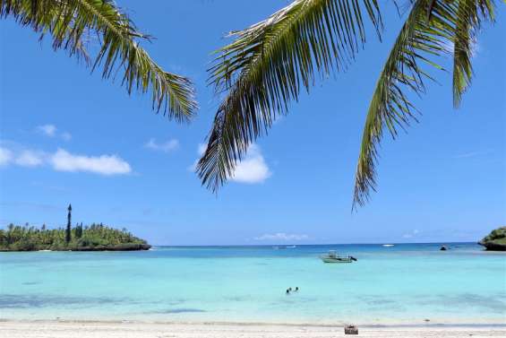 257 cas confirmés de la Covid dans les Îles