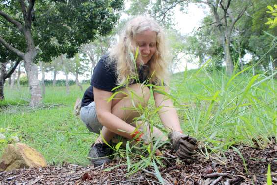 Environnement : les cinq conseils d'Hélène Cazé pour bien entretenir son jardin