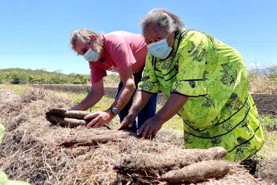 [VIDÉO] Après un mois de confinement strict, des agriculteurs sont à bout de souffle