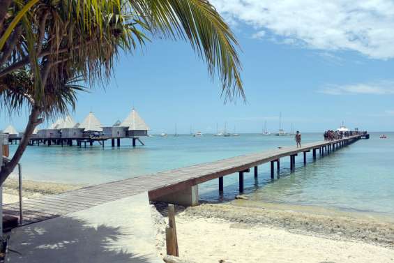 À l'îlot Maître, un projet de sentier éco-pédagogique pour valoriser sa biodiversité