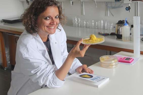 Le blob électrise les écoles