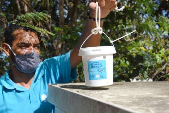 Le World Mosquito Program bientôt déployé sur la commune