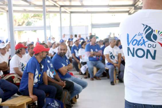 Référendum : Les Voix du Non vont reprendre la campagne