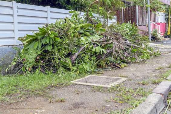 Mont-Dore : Le broyage des déchets verts à domicile testé à partir du 1er décembre