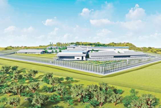 Prison de Koné : une société de BTP réclame plus de 96 millions à l'État