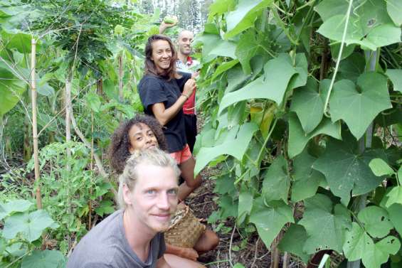 La Belle terre, le paradis des woofers à Dumbéa rivière