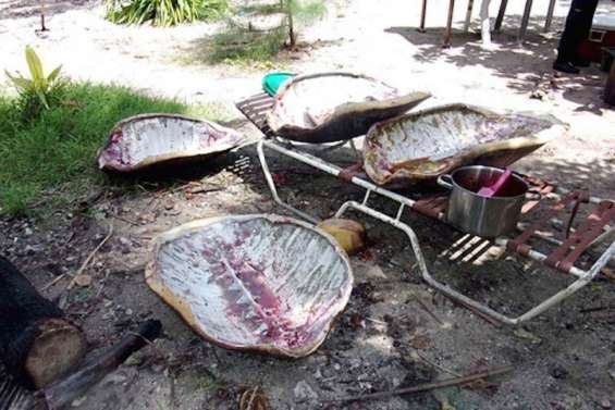 On ne badine pas avec la protection de la nature