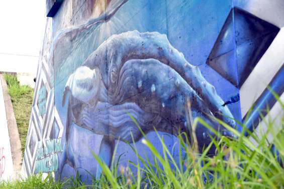 [INFOGRAPHIE] Quand le graff apporte des couleurs à l'espace urbain