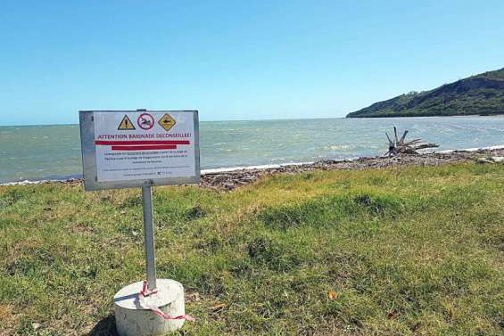 Koumac : un requin est signalé à Pandop